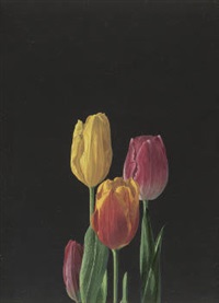 野田弘志 画集 HIROSHI NODA：MASTER WORKS Amazon.com: Hiroshi Noda: books, biography, latest update